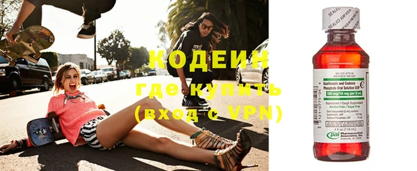 прущие грибы Каменногорск